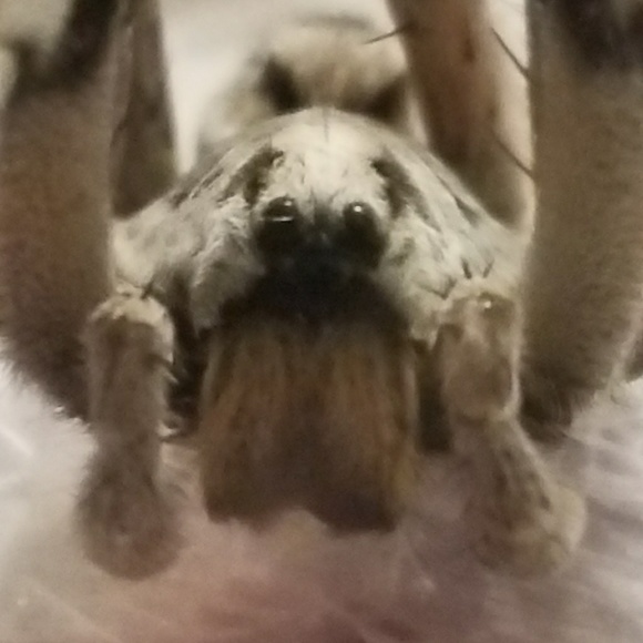 Meet your Posher, Shane - Picture 1 of 1